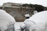 20090106_114138 Revolution is on hold