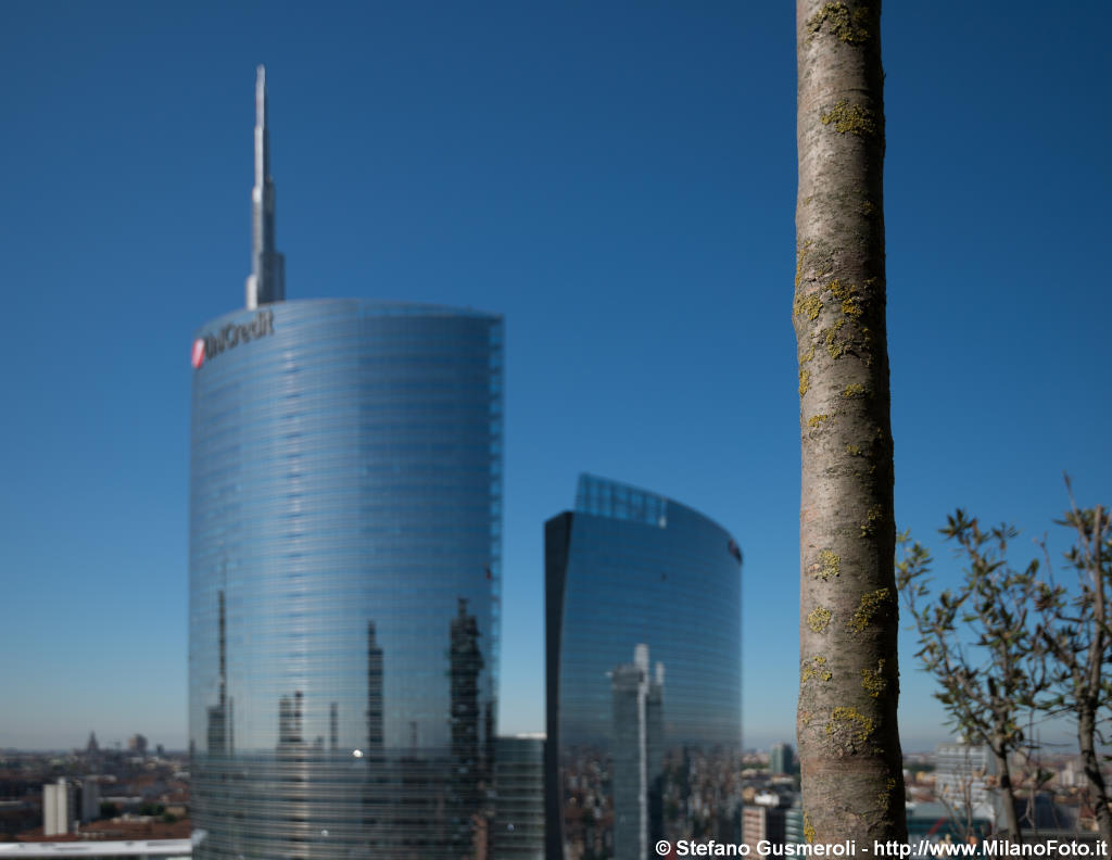  Scorcio dal Bosco Verticale - click to next image