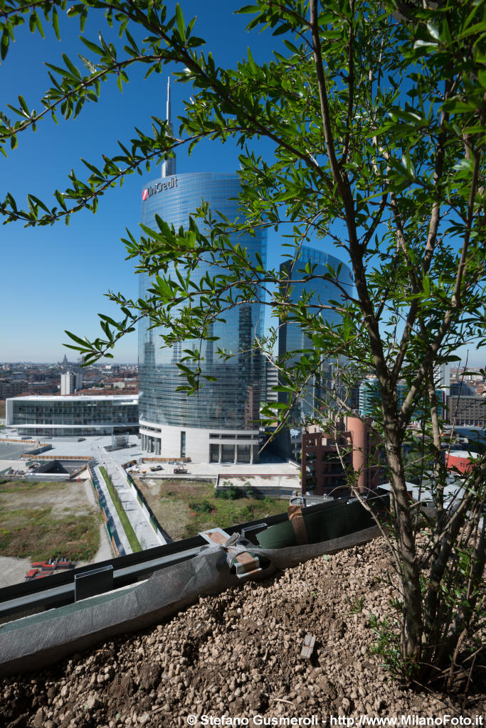  Tra i melograni del Bosco Verticale - click to next image