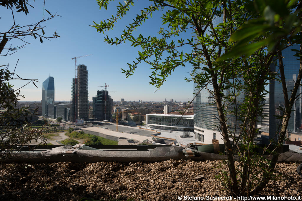  Tra i melograni del Bosco Verticale - click to next image