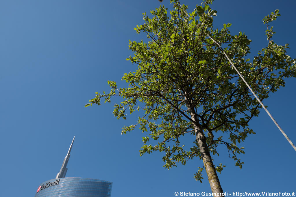  Scorcio dal Bosco Verticale - click to next image