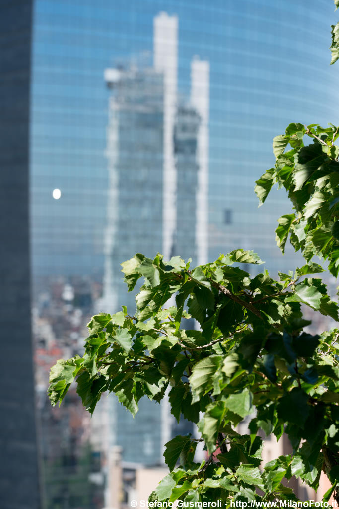  Scorcio dal Bosco Verticale - click to next image