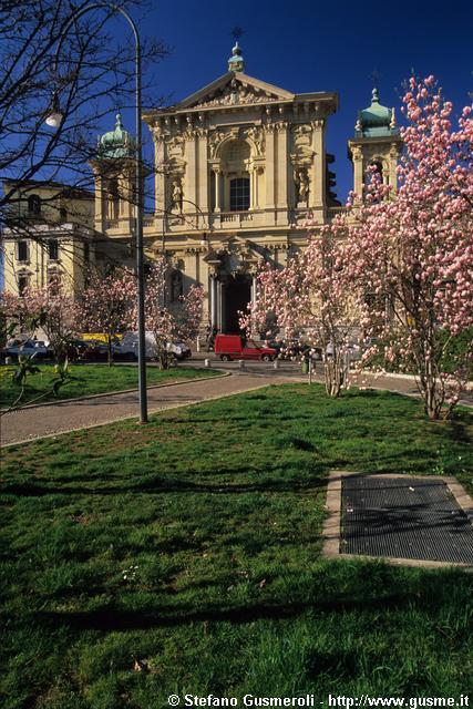  Fioritura di magnolie in piazza Tommaseo - click to next image