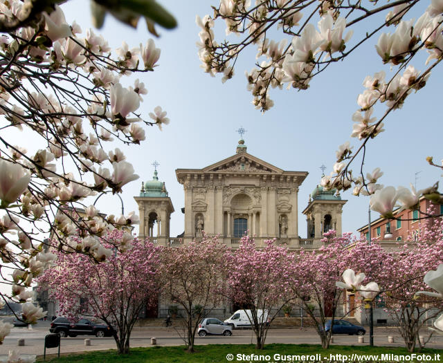  S.Maria Segreta e fioritura magnolie - click to next image