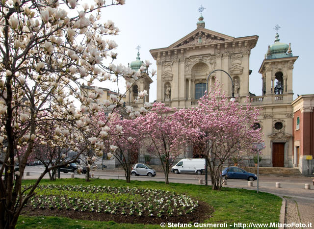  S.Maria Segreta e fioritura magnolie - click to next image