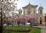 20120316_100626 S.Maria Segreta e fioritura magnolie