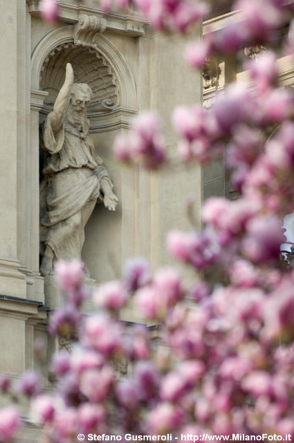  Statue e magnolie in fiore - click to next image