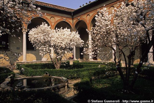  Chiostro delle Grazie con magnolie stellate - click to next image