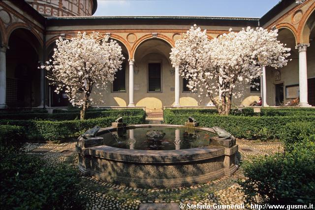  Chiostro delle Grazie con magnolie stellate - click to next image