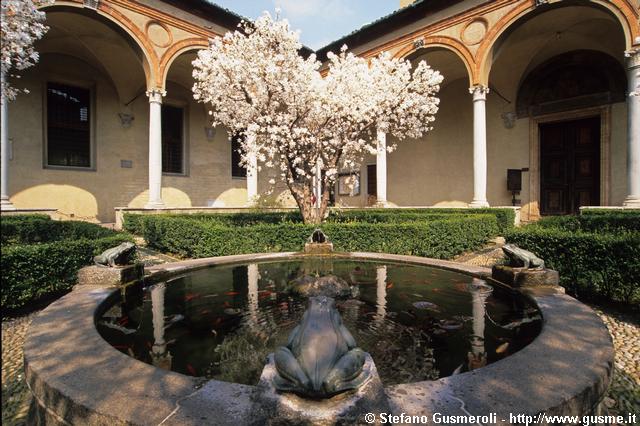  Chiostro delle Grazie con magnolie stellate - click to next image