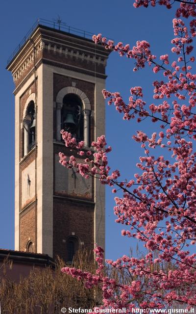  Campanile S.Pietro in Sala e fioritura - click to next image