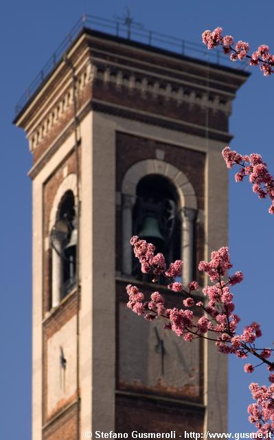  Fioritura e campanile S.Pietro in Sala - click to next image