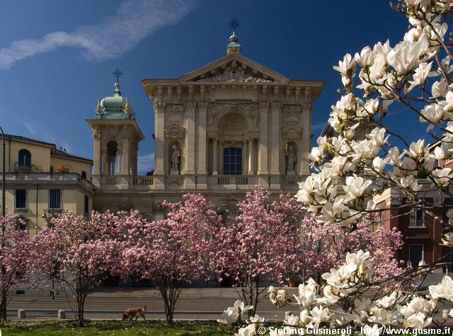  Magnolie e facciata S.Maria Segreta - click to next image