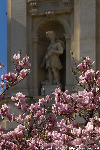  Magnolie e statua sulla facciata di S.Maria Segreta - click to next image