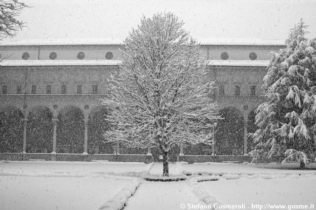  Chiostro della Cattolica innevato - click to next image