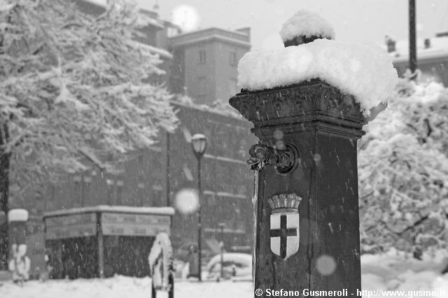  Vedovella in piazza S.Ambrogio - click to next image