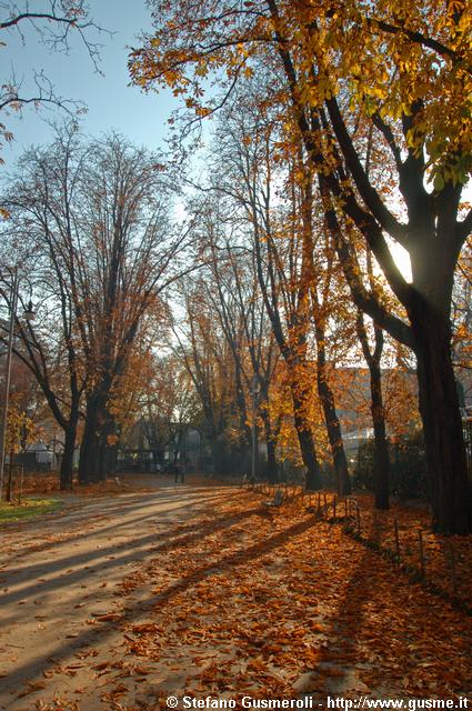  Viale controluce - click to next image