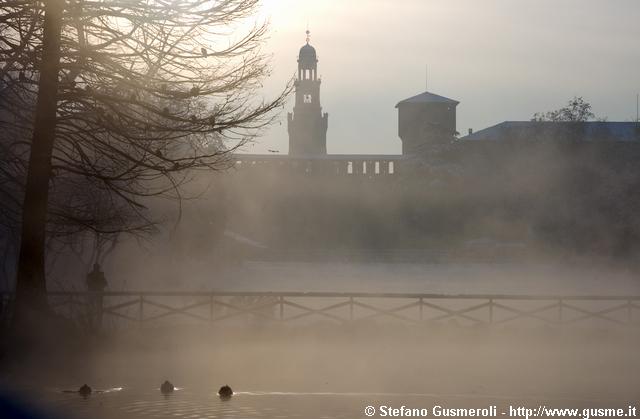  Papere nel laghetto tra la nebbia - click to next image