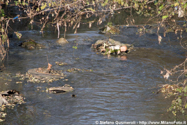  Rifiuti nel torrente Fugone - click to next image