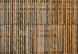 20140217_170041 Bamboo brise