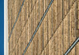 20140223_161939 Bamboo brise