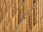 20140224_171644 Bamboo brise