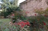 20120222_103816 Giardino