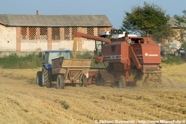  Trebbiatura del riso in via San Marchetto - click to next image