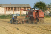 20090922_175548 Trebbiatura del riso in via San Marchetto