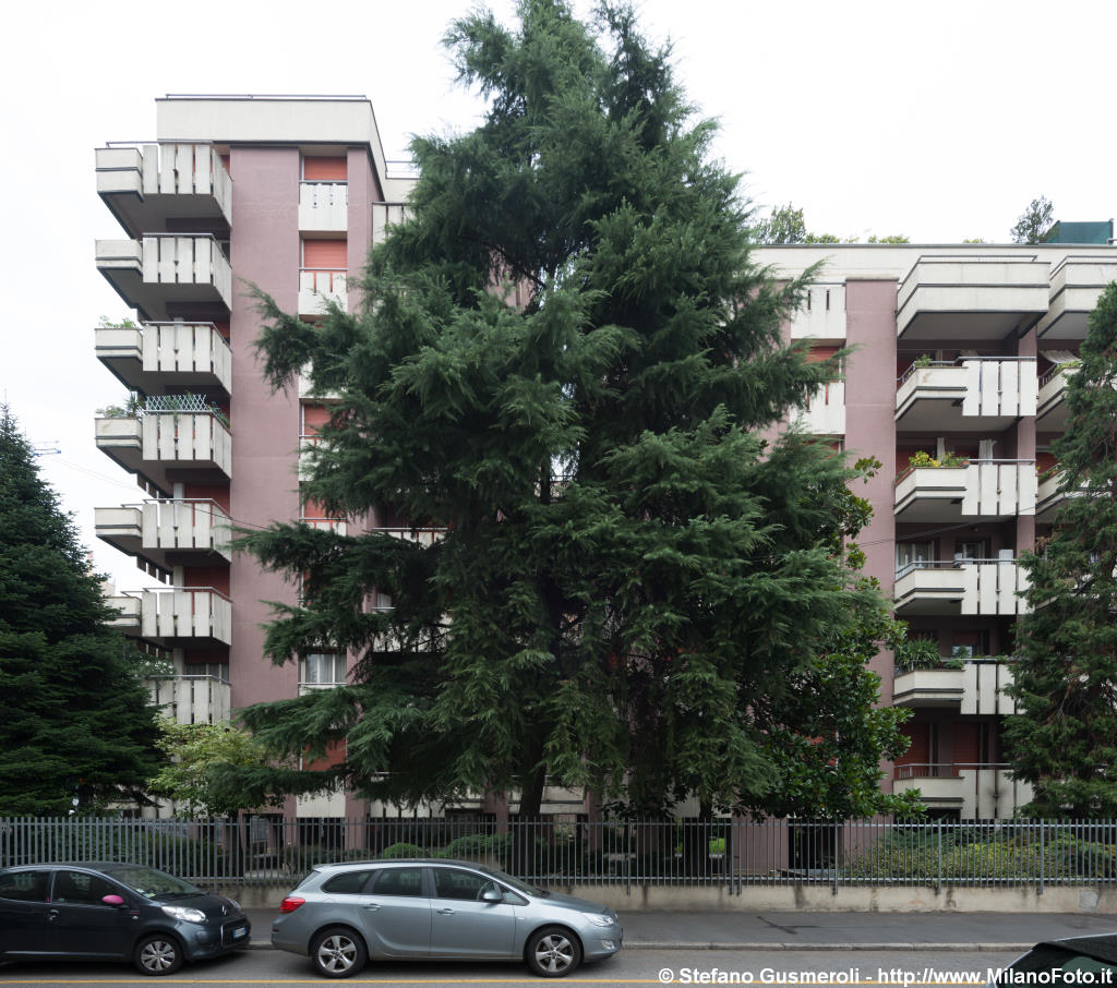  Viale Teodorico 21 - Fronte su via Val Vigezzo - click to next image