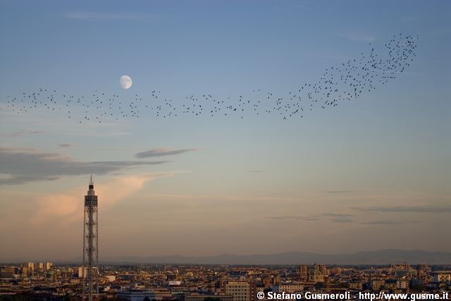  Stormo, torre littoria, Appennini e luna - click to next image