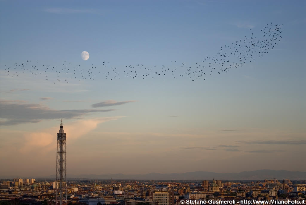  Stormo, torre littoria, Appennini e luna - click to next image