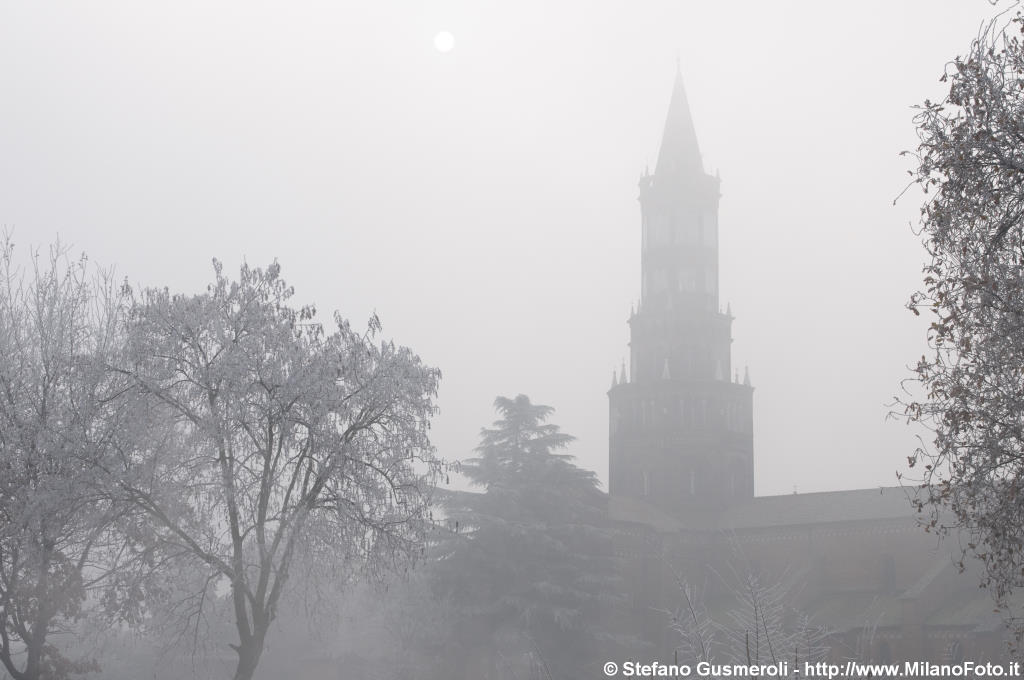  Torre nolare di Chiaravalle tra la nebbia - click to next image